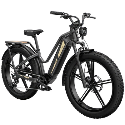Fiido Titan Electric Bike - 750W teho | 14.5Ah akku | 28mph nopeus | 84mi Range