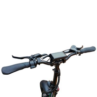 Allegro City Fold Pro 162mi pitkän kantaman hydraulinen jarru pitkän kantaman kokoontaitettava E-pyörä