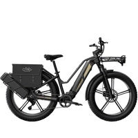 Fiido Titan Electric Bike - 750W teho | 14.5Ah akku | 28mph nopeus | 248mi Range